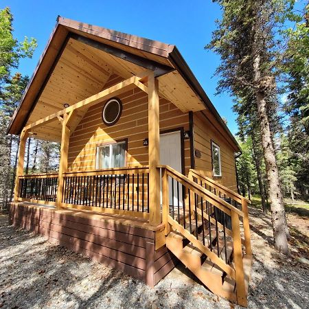 Denali Wild Stay - Redfox Cabin, Free Wifi, Private, Sleep 6 هيلي المظهر الخارجي الصورة