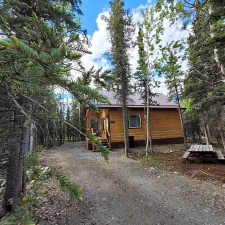 Denali Wild Stay - Redfox Cabin, Free Wifi, Private, Sleep 6 هيلي المظهر الخارجي الصورة