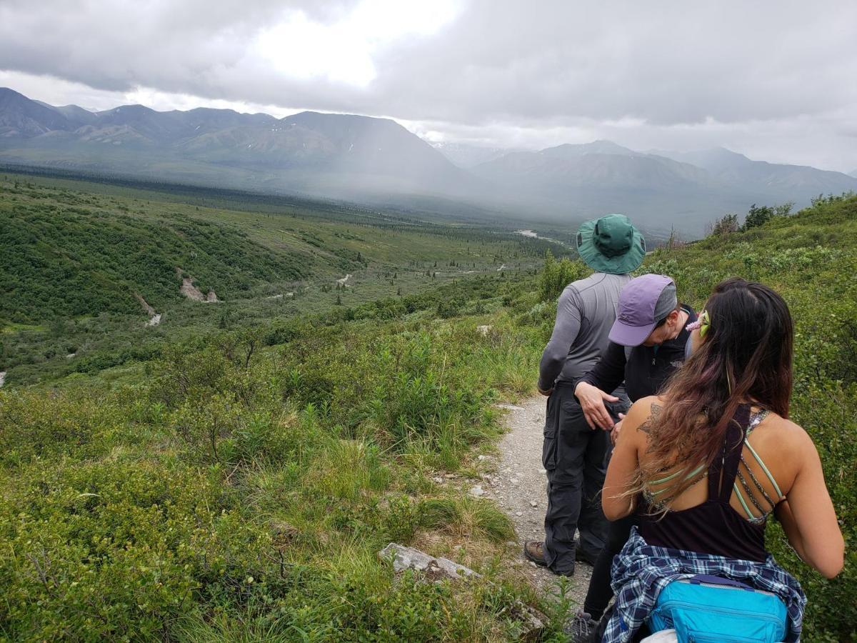 Denali Wild Stay - Redfox Cabin, Free Wifi, Private, Sleep 6 هيلي المظهر الخارجي الصورة