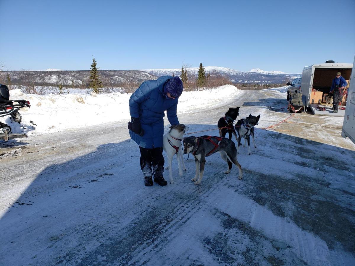 Denali Wild Stay - Redfox Cabin, Free Wifi, Private, Sleep 6 هيلي المظهر الخارجي الصورة