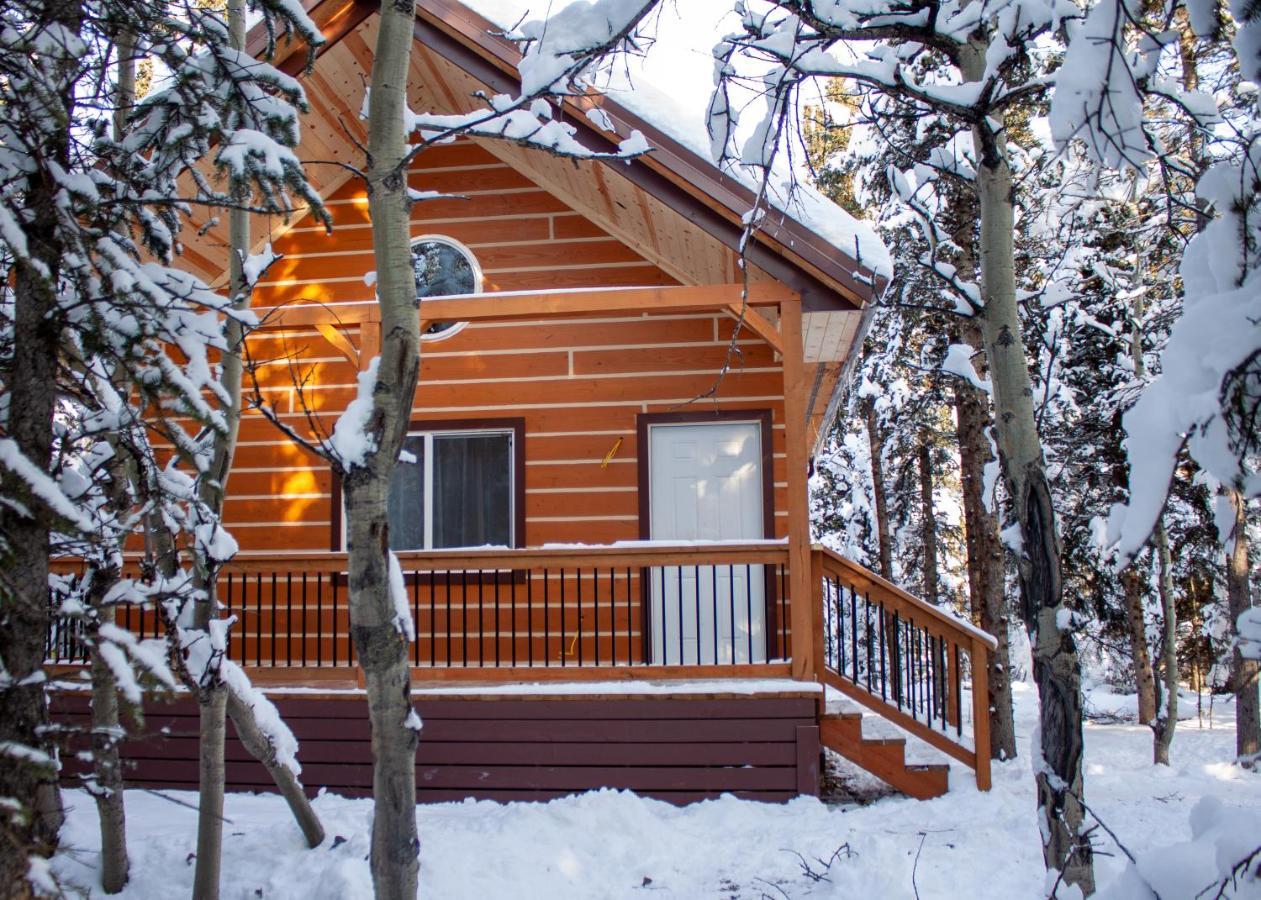 Denali Wild Stay - Redfox Cabin, Free Wifi, Private, Sleep 6 هيلي المظهر الخارجي الصورة