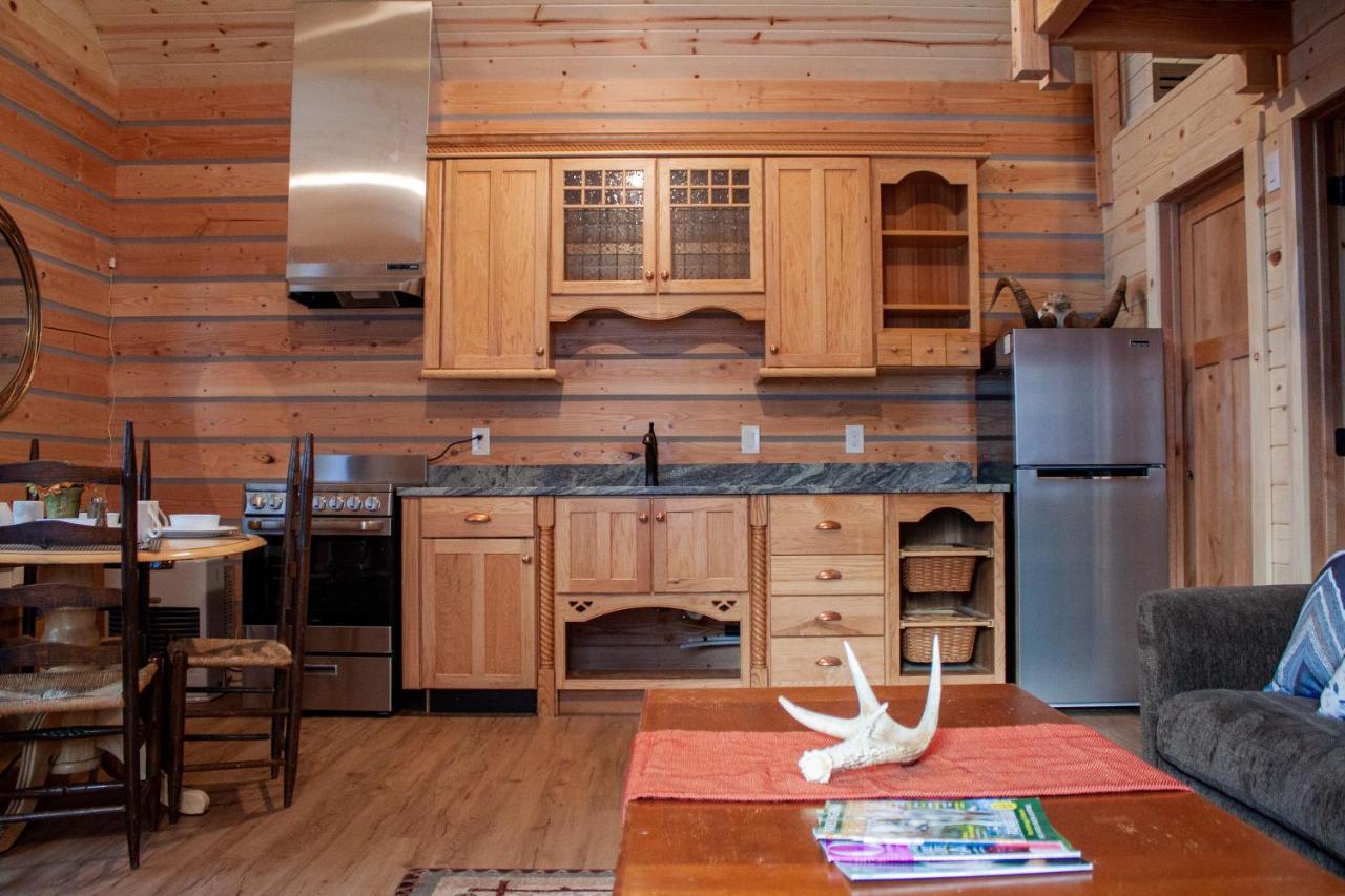 Denali Wild Stay - Redfox Cabin, Free Wifi, Private, Sleep 6 هيلي المظهر الخارجي الصورة