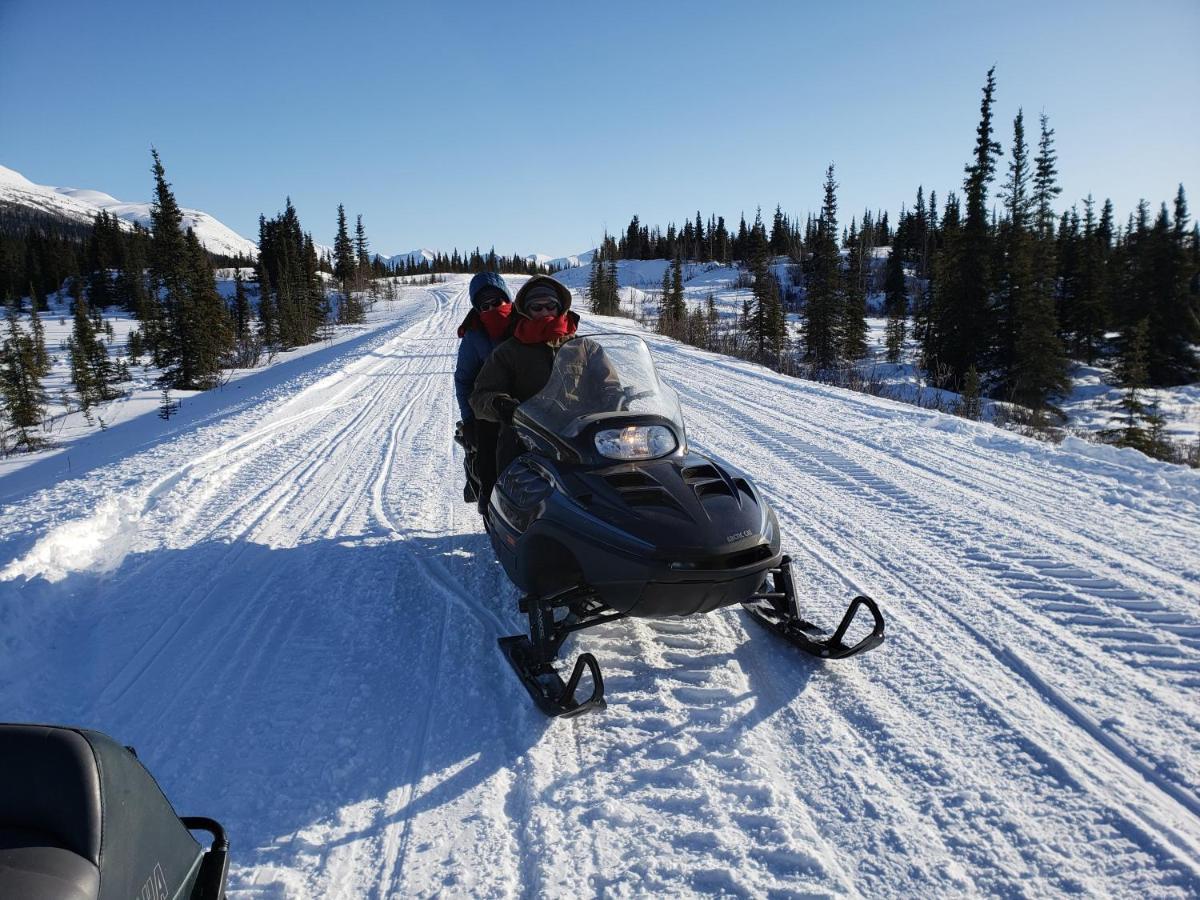 Denali Wild Stay - Redfox Cabin, Free Wifi, Private, Sleep 6 هيلي المظهر الخارجي الصورة