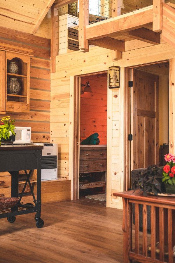 Denali Wild Stay - Redfox Cabin, Free Wifi, Private, Sleep 6 هيلي المظهر الخارجي الصورة