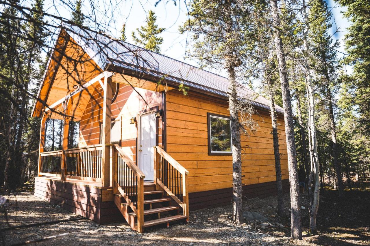 Denali Wild Stay - Redfox Cabin, Free Wifi, Private, Sleep 6 هيلي المظهر الخارجي الصورة