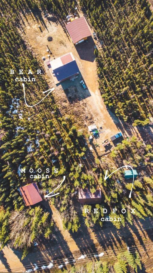Denali Wild Stay - Redfox Cabin, Free Wifi, Private, Sleep 6 هيلي المظهر الخارجي الصورة