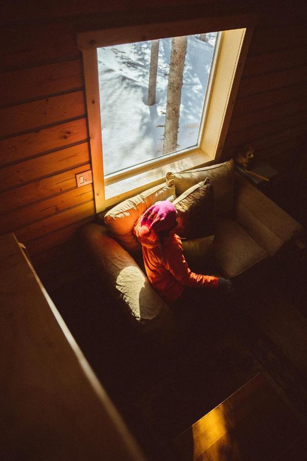 Denali Wild Stay - Redfox Cabin, Free Wifi, Private, Sleep 6 هيلي المظهر الخارجي الصورة