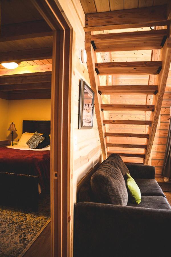 Denali Wild Stay - Redfox Cabin, Free Wifi, Private, Sleep 6 هيلي المظهر الخارجي الصورة