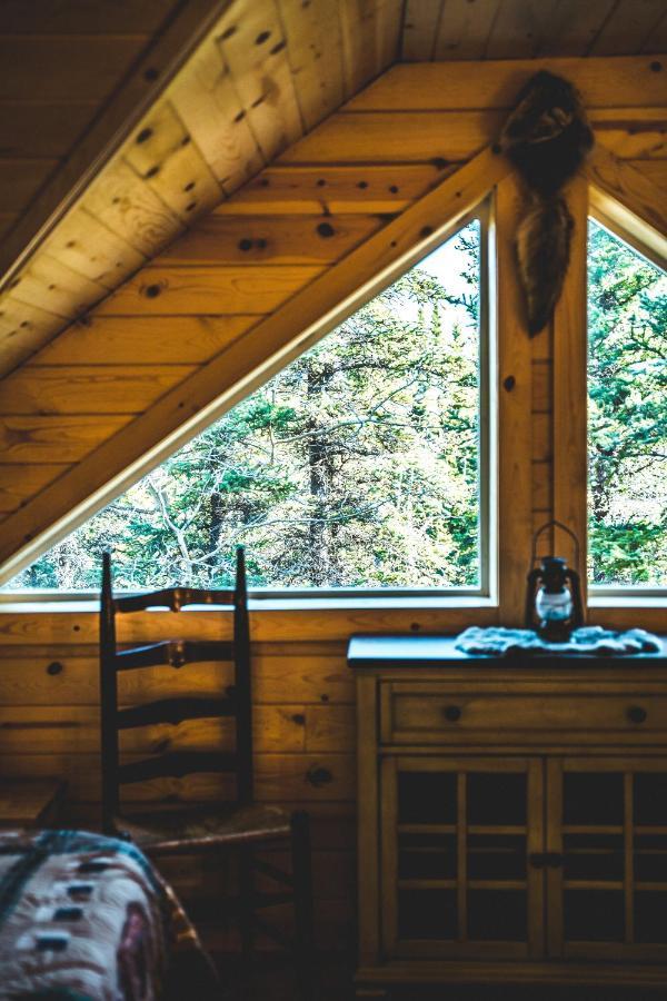 Denali Wild Stay - Redfox Cabin, Free Wifi, Private, Sleep 6 هيلي المظهر الخارجي الصورة