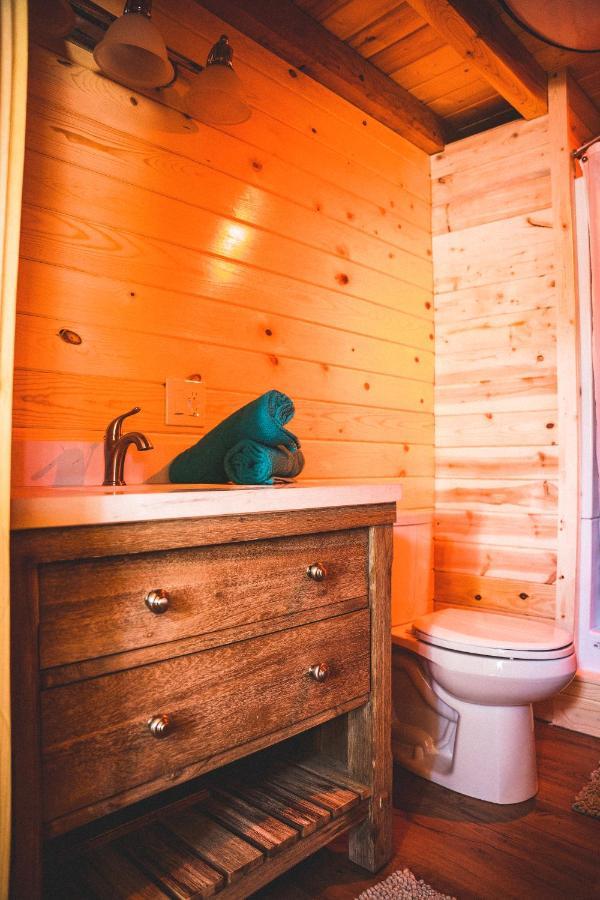 Denali Wild Stay - Redfox Cabin, Free Wifi, Private, Sleep 6 هيلي المظهر الخارجي الصورة