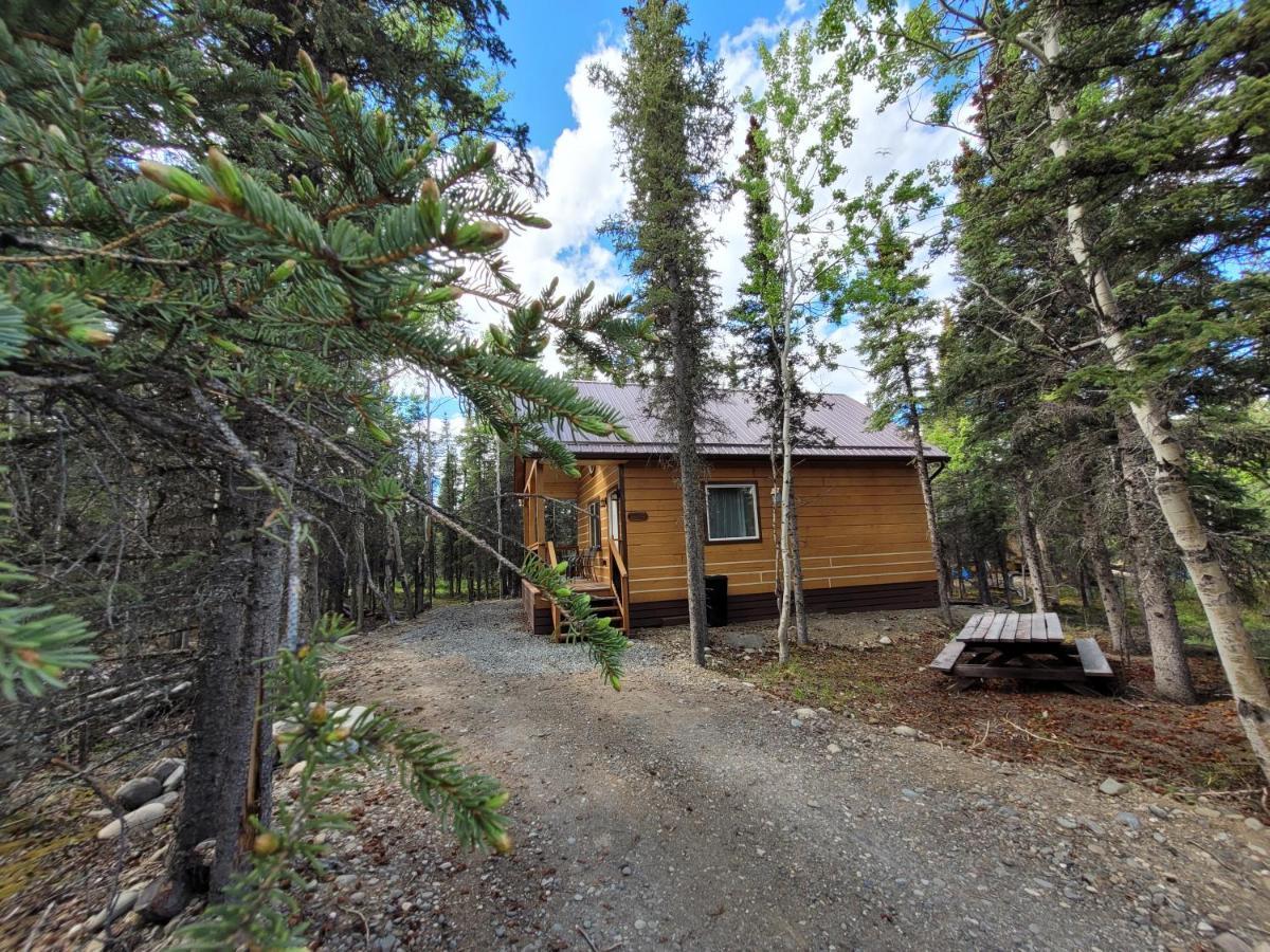 Denali Wild Stay - Redfox Cabin, Free Wifi, Private, Sleep 6 هيلي المظهر الخارجي الصورة